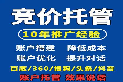 大数据分析在竞价广告中的应用